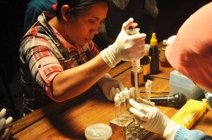 Proyek UTS (3)