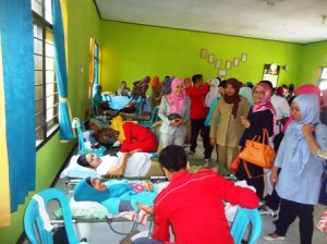 HKN koalisi 1