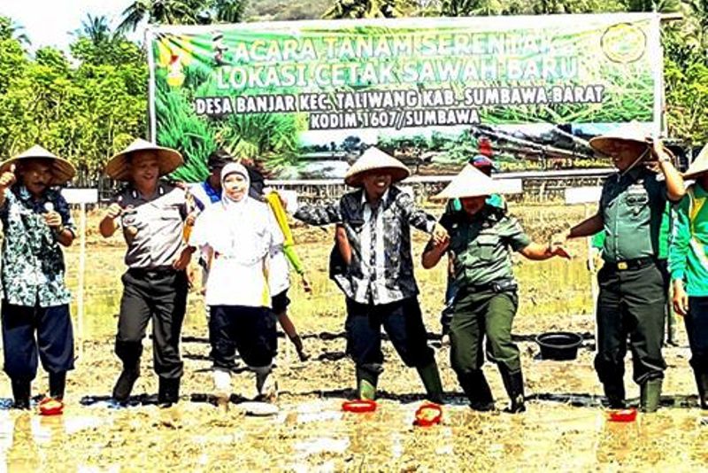 tanam-padi-serentak-2