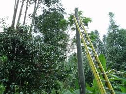 Jaringan listrik 5