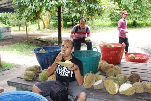 Bangkok Patraland 2