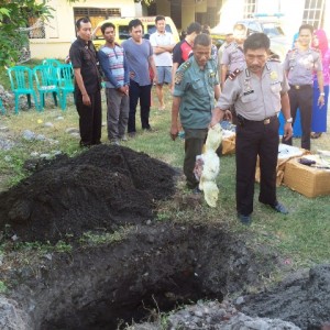 Penyu Hijau Kapolpos