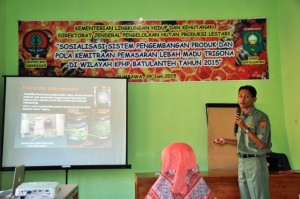 Madu Trogona Julmansyah