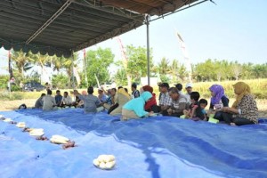 Temu Lapang petani 1 Temu Lapang petani 1