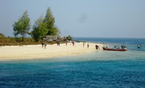 Ekspedisi Pulau Kalong baru