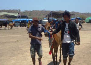 Pacuan Final angin laut