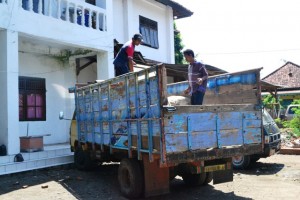 Curi Semen 1