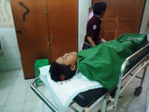 Pohon tumbang korban Pohon tumbang korban