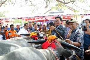 UPTD Kerbau 4