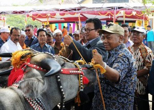 UPTD Kerbau 5