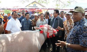UPTD Kerbau 9