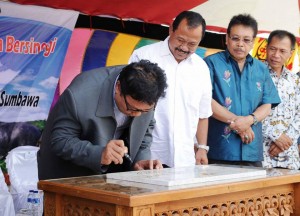 UPTD kerbau Launching