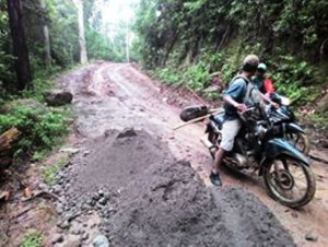 Jalan Tepal Rusak