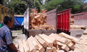 Kayu Opgab