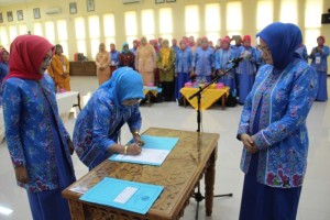 Musda GOW 1