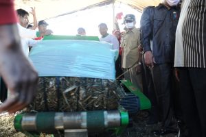 Panen Jagung 3