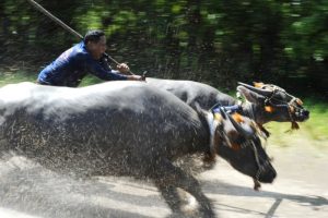 Barapan Wabup