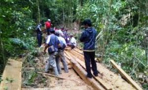 Hutan Marente