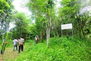 Newmont Minahasa 5 Newmont Minahasa 5