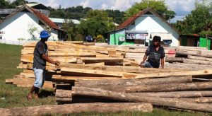 Kayu nanga Lidam 2 Kayu nanga Lidam 2