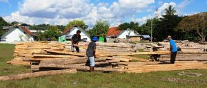 Kayu nanga Lidam 3 Kayu nanga Lidam 3