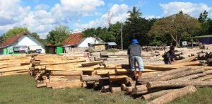 Kayu nanga Lidam 4 Kayu nanga Lidam 4