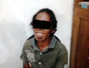 Pelaku Pulau Moyo Pelaku Pulau Moyo