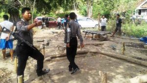 Sabung Ayam area 3