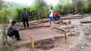 Sabung ayam area 4 Sabung ayam area 4
