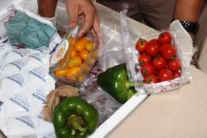 Karantina Paket 2 Karantina Paket 2