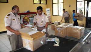 Karantina Paket 3