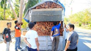 Kayu Dompu 1 Kayu Dompu 1