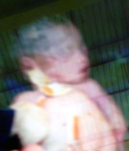 Penemuan bayi 3