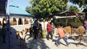 kurban-muhammadiyah