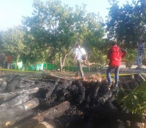 olah-tkp-kayu-bakar