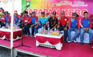 barapan-kebo-utan