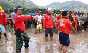 barapan-tni-3 barapan-tni-3