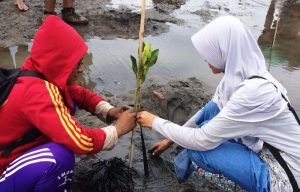 sobi-sumbawa-1 sobi-sumbawa-1