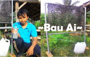 bau-ai