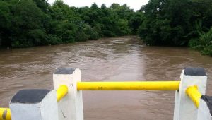 sungai-moyo