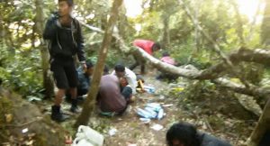 hutan-jaran-pusang-2