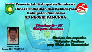 SDN PAMUNGA