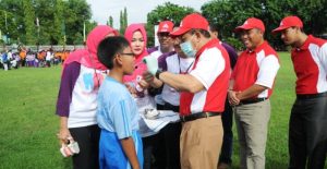 Sikat Gigi Massal Sikat Gigi Massal