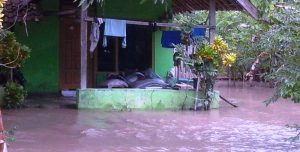 Banjir Susulan Plampang