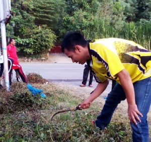 Gotong-royong