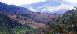 Lahan kritis Lahan kritis
