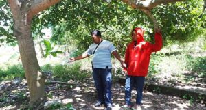 Rekonstruksi curanak 1