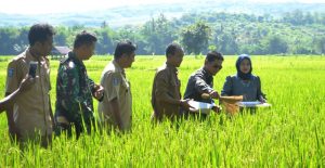 Biso Tian Pade 1 Biso Tian Pade 1