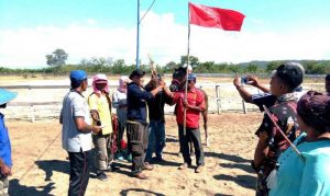 Kuda Juara