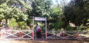 SMPN 3 Plampang kebun sekolah SMPN 3 Plampang kebun sekolah